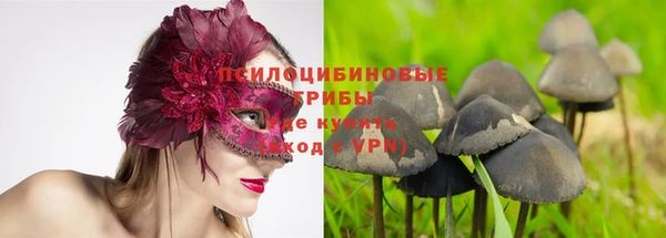 кокаин премиум Дмитриев