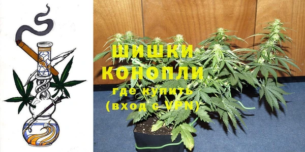 соль ск Дмитров