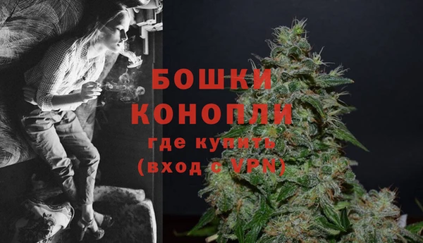 соль ск Дмитров