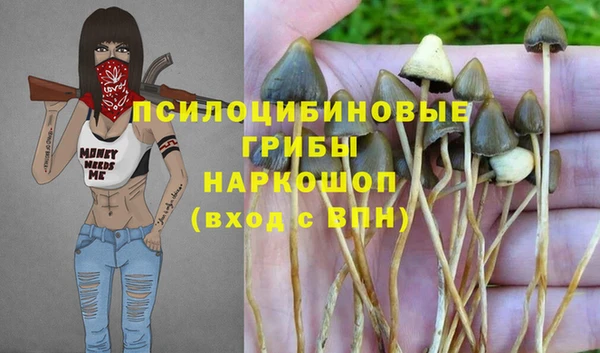 соль ск Дмитров