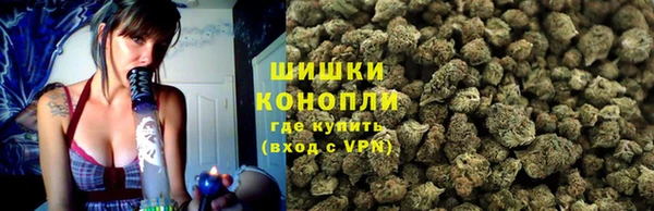 соль ск Дмитров
