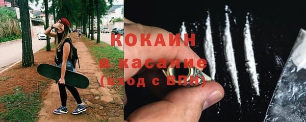 соль ск Дмитров