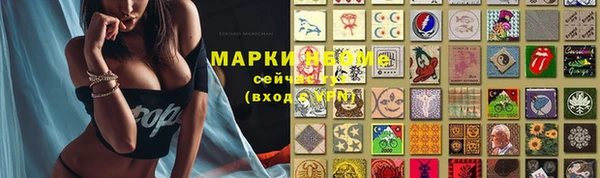 spice Дмитровск