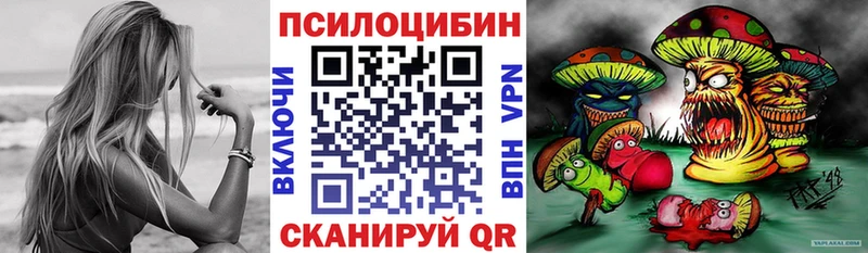 Галлюциногенные грибы Psilocybe  наркотики  Южноуральск 